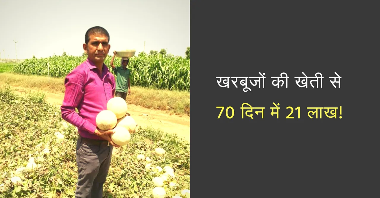 70 दिनों में इस किसान ने खरबूज़े की खेती से कमाये 21 लाख रुपए; जानिये कैसे!