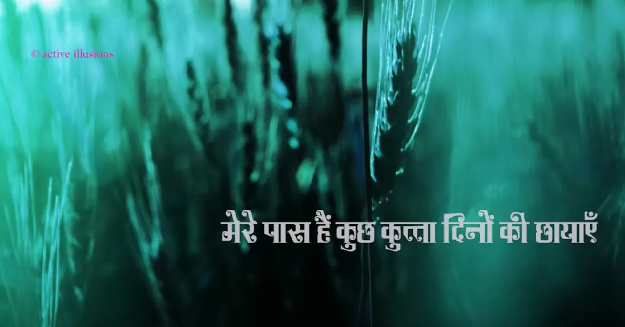 कुत्ता दिनों की छायाएँ, बिल्ली दिनों के अंदाज़!