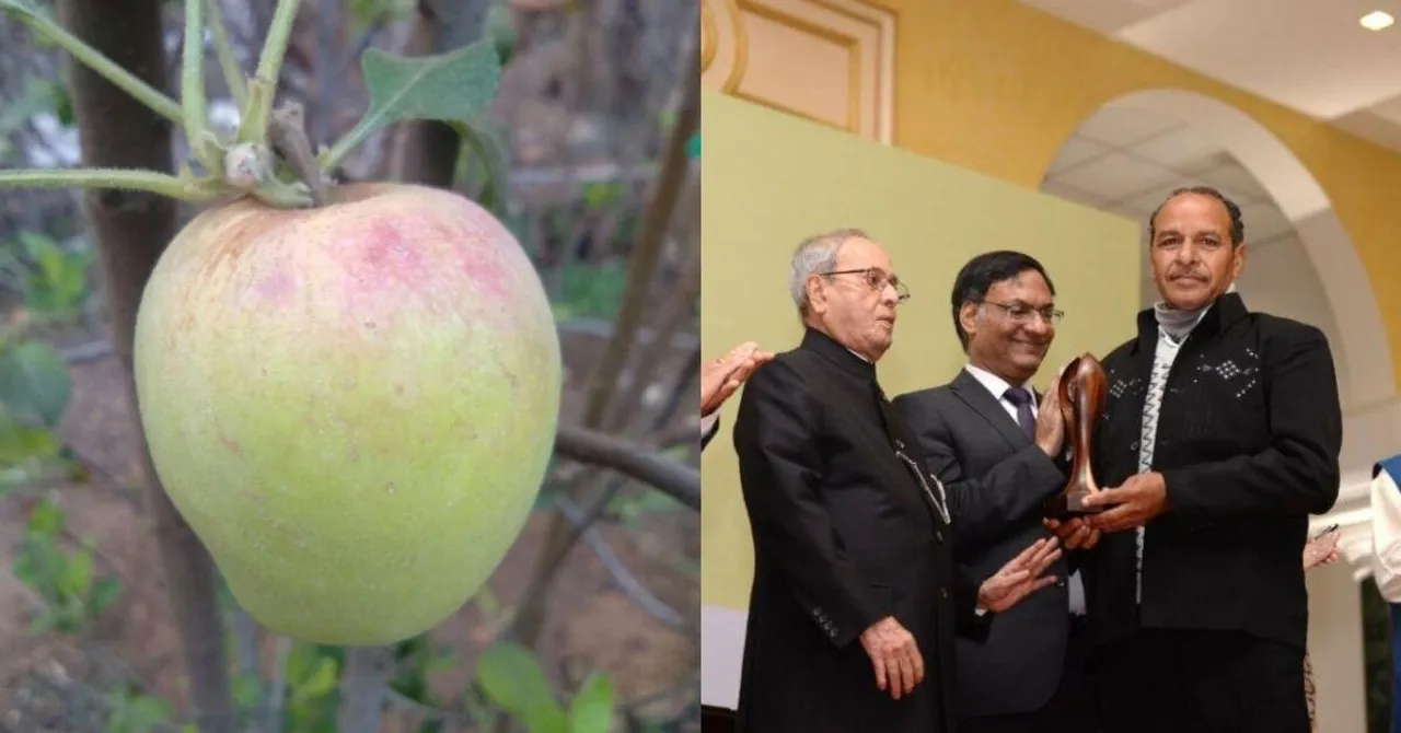 Hariman sharma Apple Variety 99