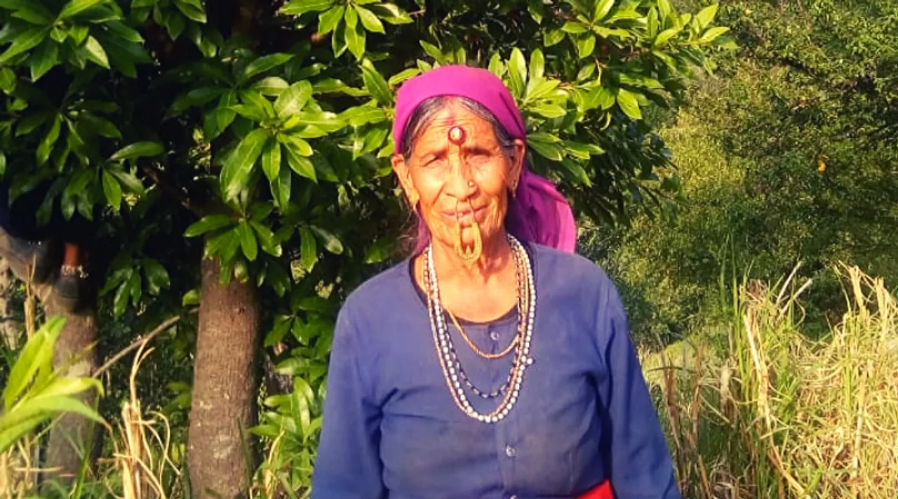 76 वर्षीया गढ़वाली दादी ने अकेले लगा दिये 500+ पेड़!