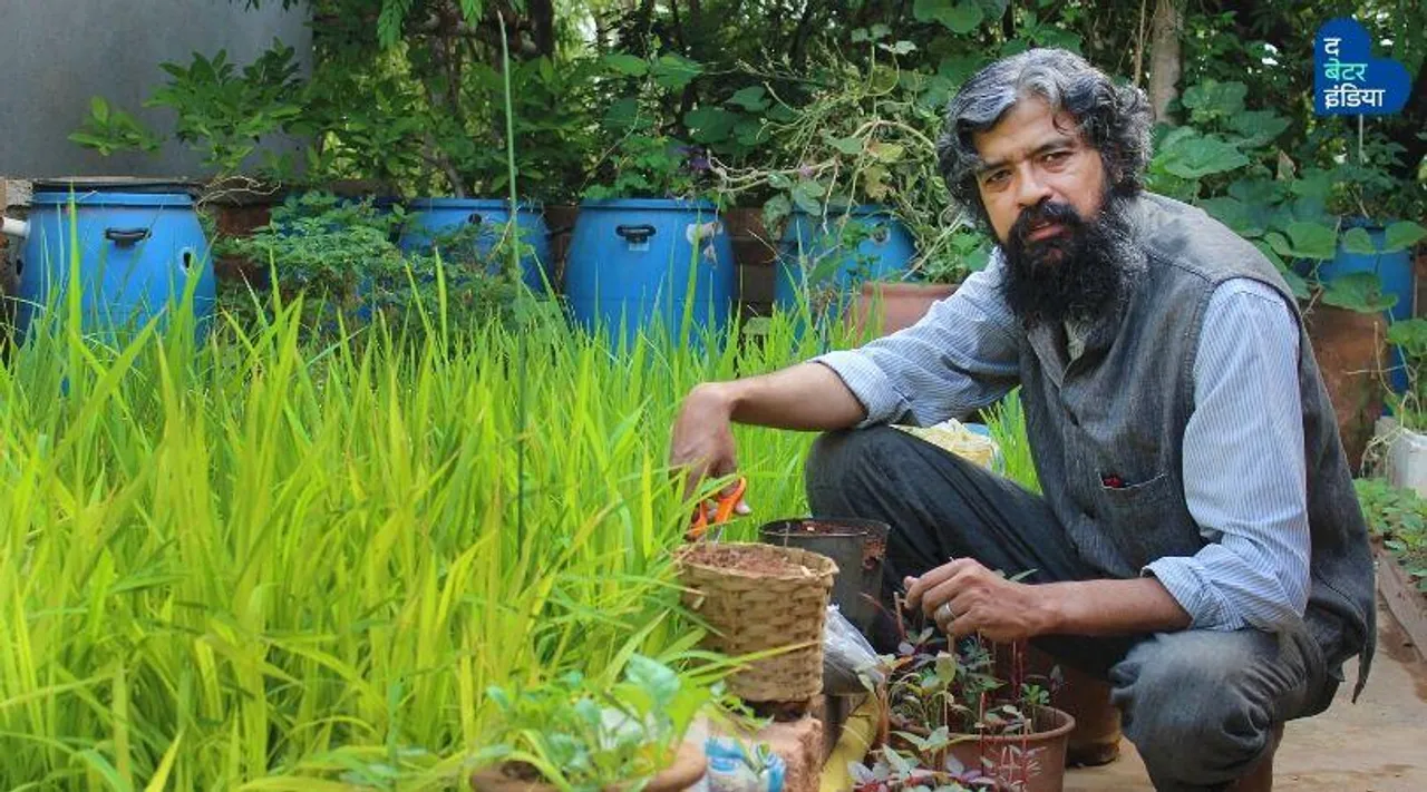 नहाने और कपड़े धोने के बाद बचने वाले पानी से, छत पर उगा रहे हैं धान!