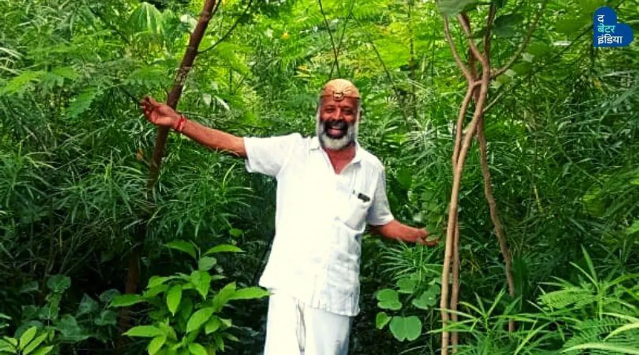 चिड़िया का टूटा घोंसला और अंडा देख शुरू की मुहिम, 6 सालों में उगाए 55 जंगल!
