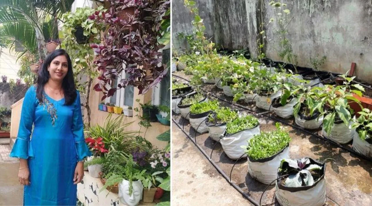 आपके किचन में ही है खज़ाना,फलदार पेड़ उगाने के लिए इनकी तरह तैयार करें बीज!