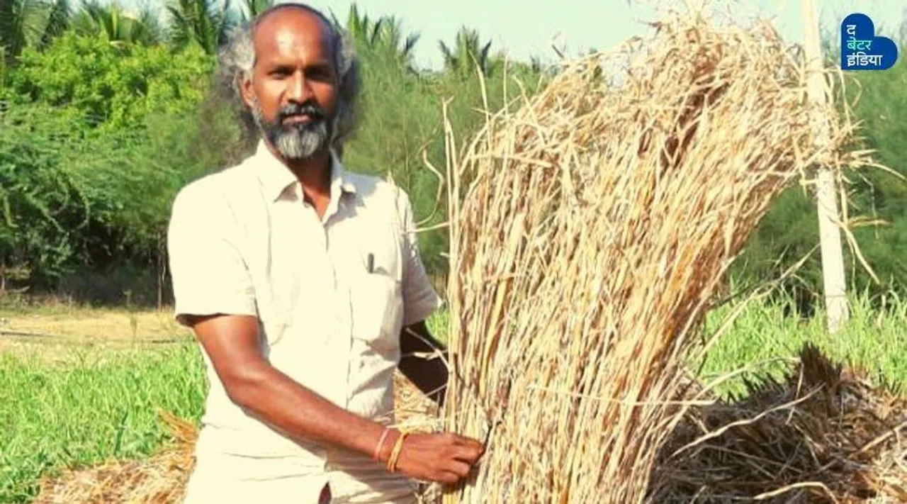 किसी म्यूजियम से कम नहीं इस किसान का खेत, एक साथ उगाए 111 तरह के धान!