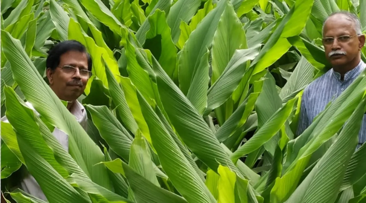 किसानों की मदद और अपना स्टार्टअप, इनसे जानिए घर पर कैसे करें 'कस्तूरी हल्दी' की प्रोसेसिंग!