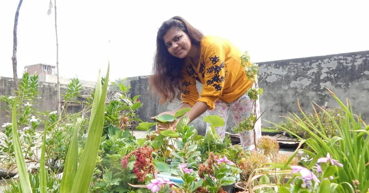 आटे के थैले और चाय के पैकेट में लगा रहीं पौधे, हर महीने यूट्यूब पर देखते हैं लाखों लोग!