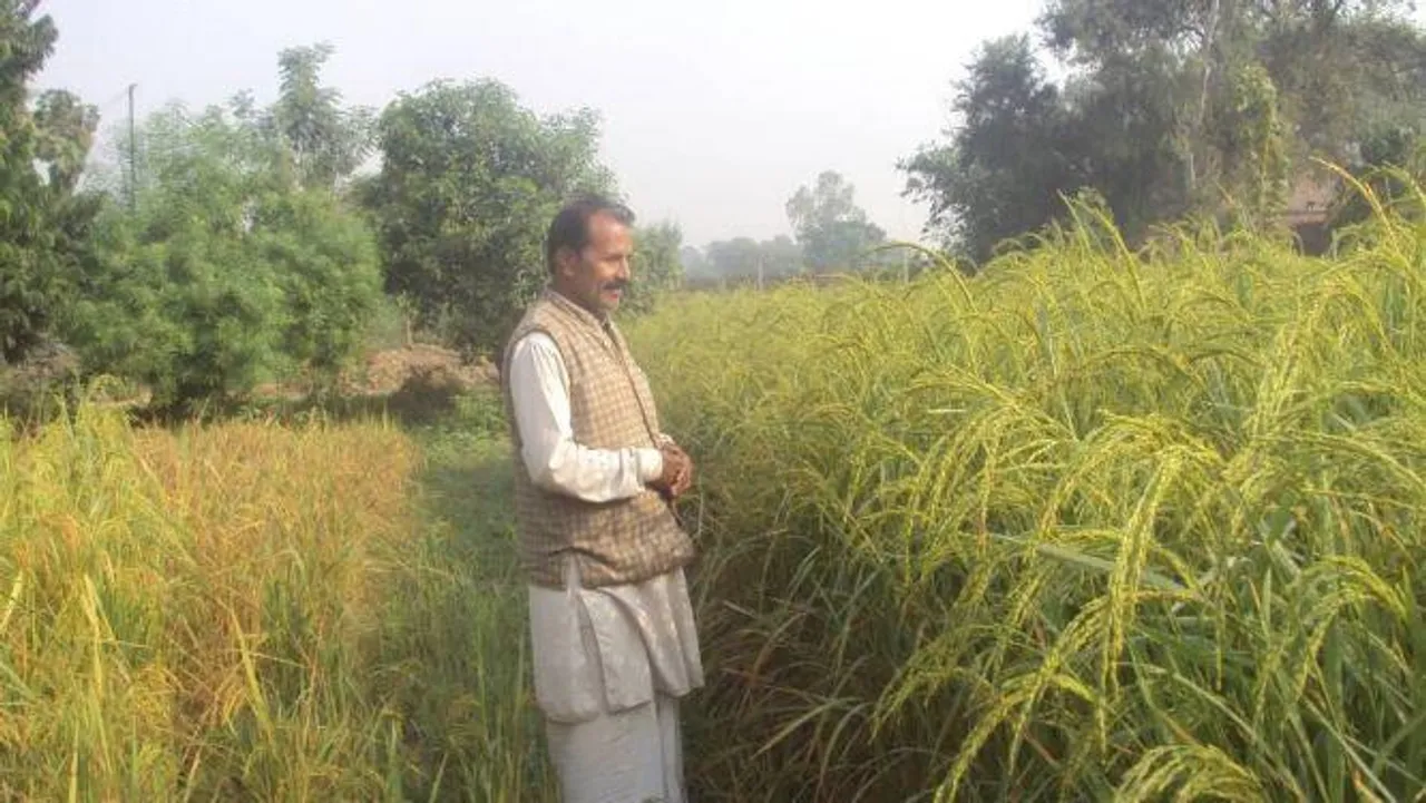 600 से अधिक देशी बीज किए विकसित, 9वीं पास किसान ने तोड़े कई विश्व रिकॉर्ड।