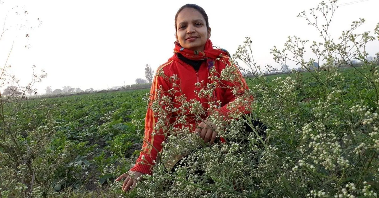 दिल्ली: टीचर ने घरवालों के लिए शुरू की केमिकल-फ्री खेती, अब बना सफल बिज़नेस मॉडल