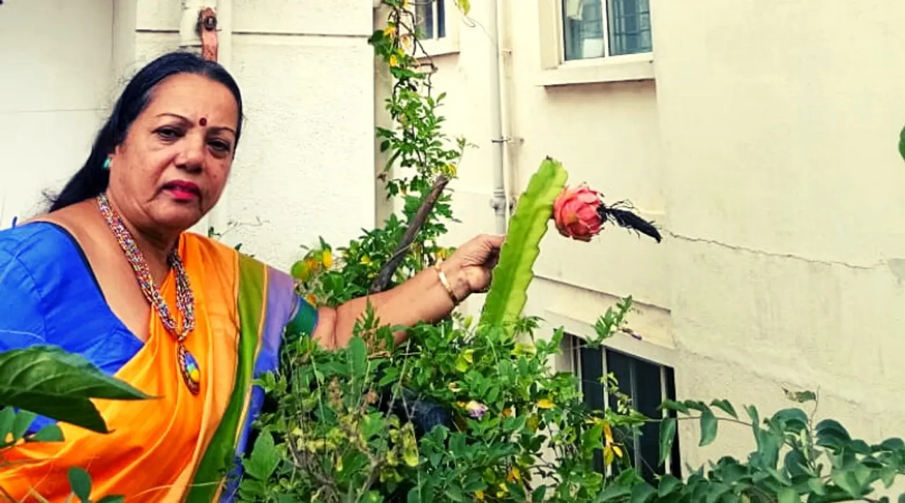 Dragon Fruit: घर के आँगन या छत पर उगा सकते हैं यह महंगा फल, बहुत ही आसान है देखभाल करना