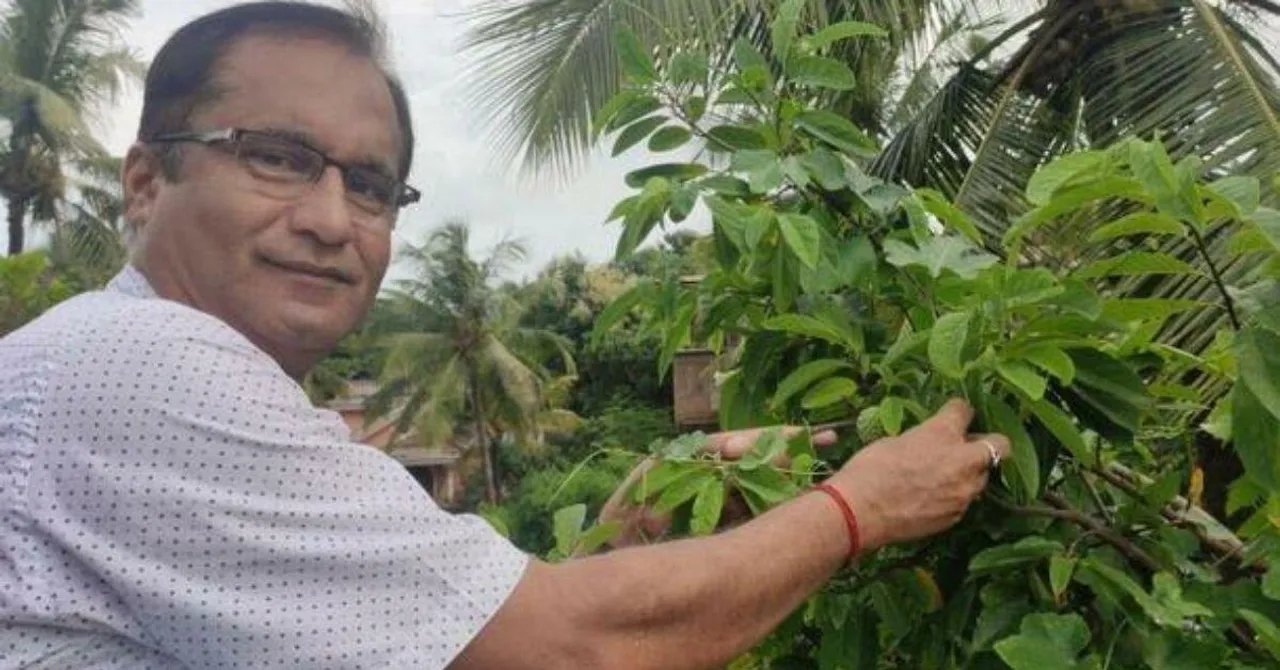 दूध की पेटियाँ फेंक जाते थे दूधवाले, इसमें उगाईं सब्जियों से छत को बनाया फूड फ़ॉरेस्ट