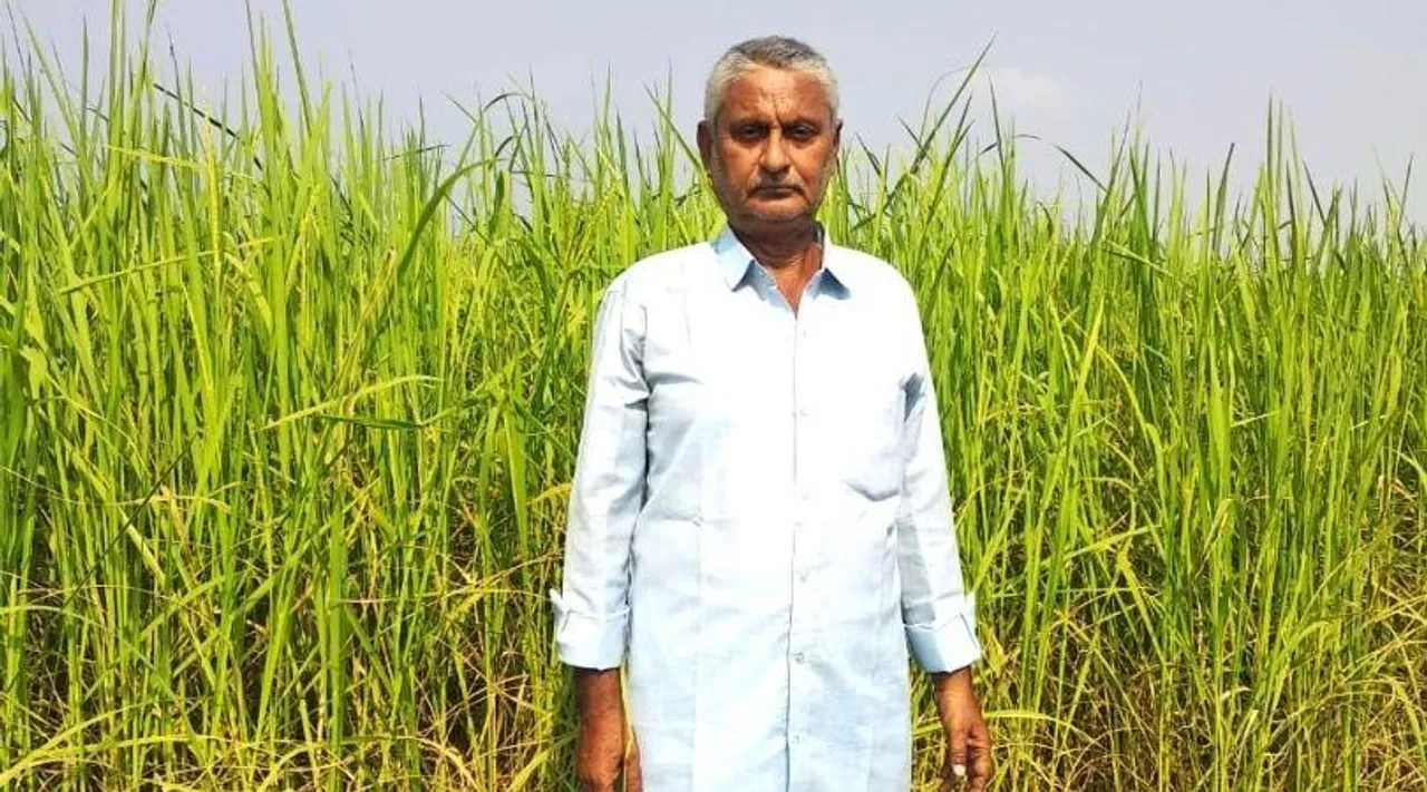 बिहार का यह किसान उगा रहा है 'मैजिक धान', इसके चावल पकते हैं ठंडे पानी में