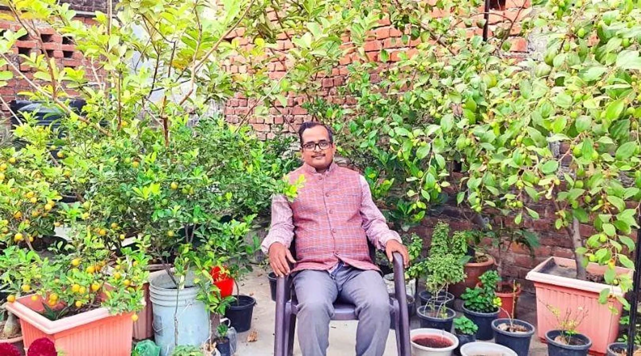 घर की छत पर गमलों में लगाए लगभग 400 पेड़-पौधे, उगा रहे हैं 15 से भी ज्यादा किस्म के फल