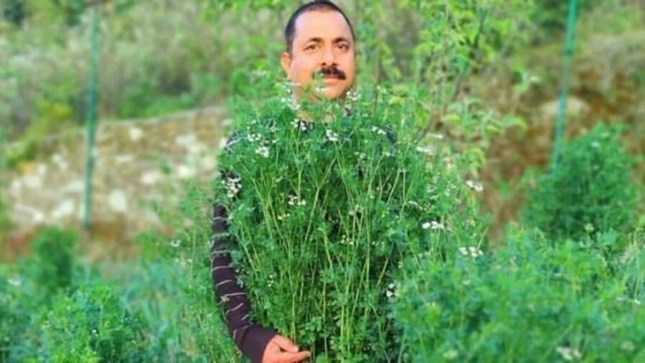 उत्तराखंड के इस किसान के नाम है विश्व का सबसे लम्बा धनिया का पौधा उगाने का रिकॉर्ड