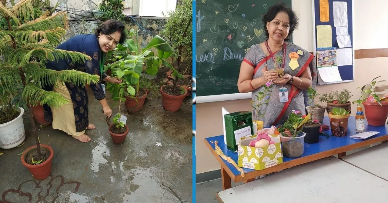 Terrace Gardening