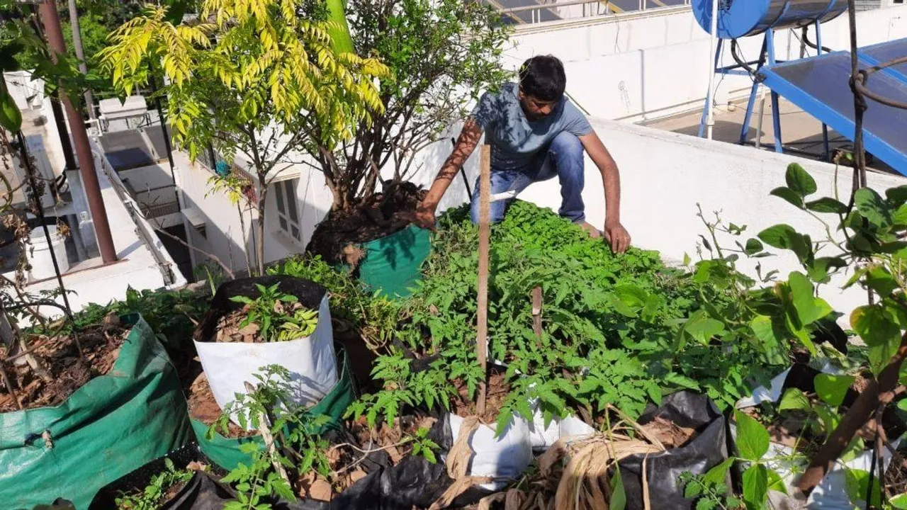 बेंगलुरू: केवल 10x10 फीट जगह में उगा रहे हैं 20 तरह की सब्जियां, जानिए कैसे