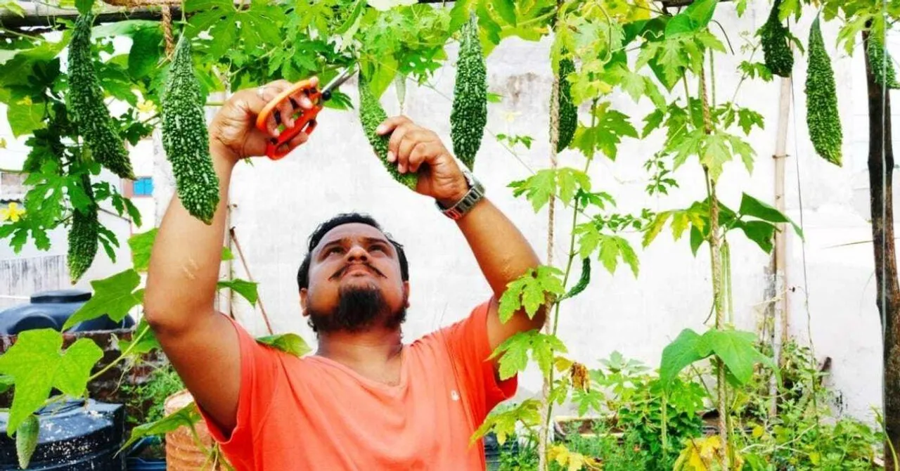 Terrace Gardening in Bhopal