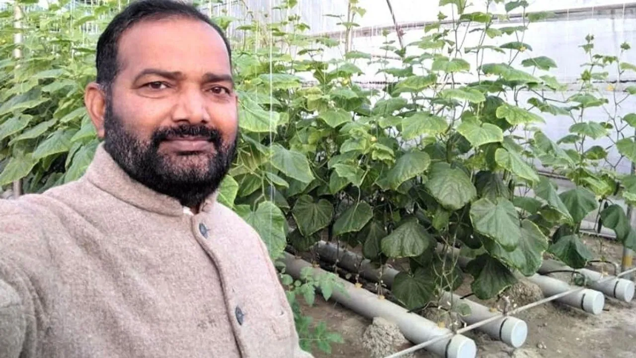 हिमाचल: बिना मिट्टी और 90% कम पानी में उगाते हैं पोषण से भरपूर सब्ज़ियाँ