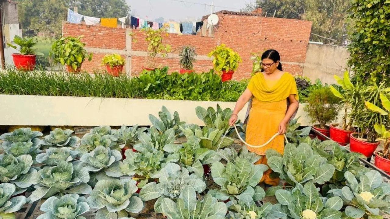 नहीं थी ज़मीन तो छत को बनाया खेत, उगाते हैं हर तरह की मौसमी सब्ज़ियाँ