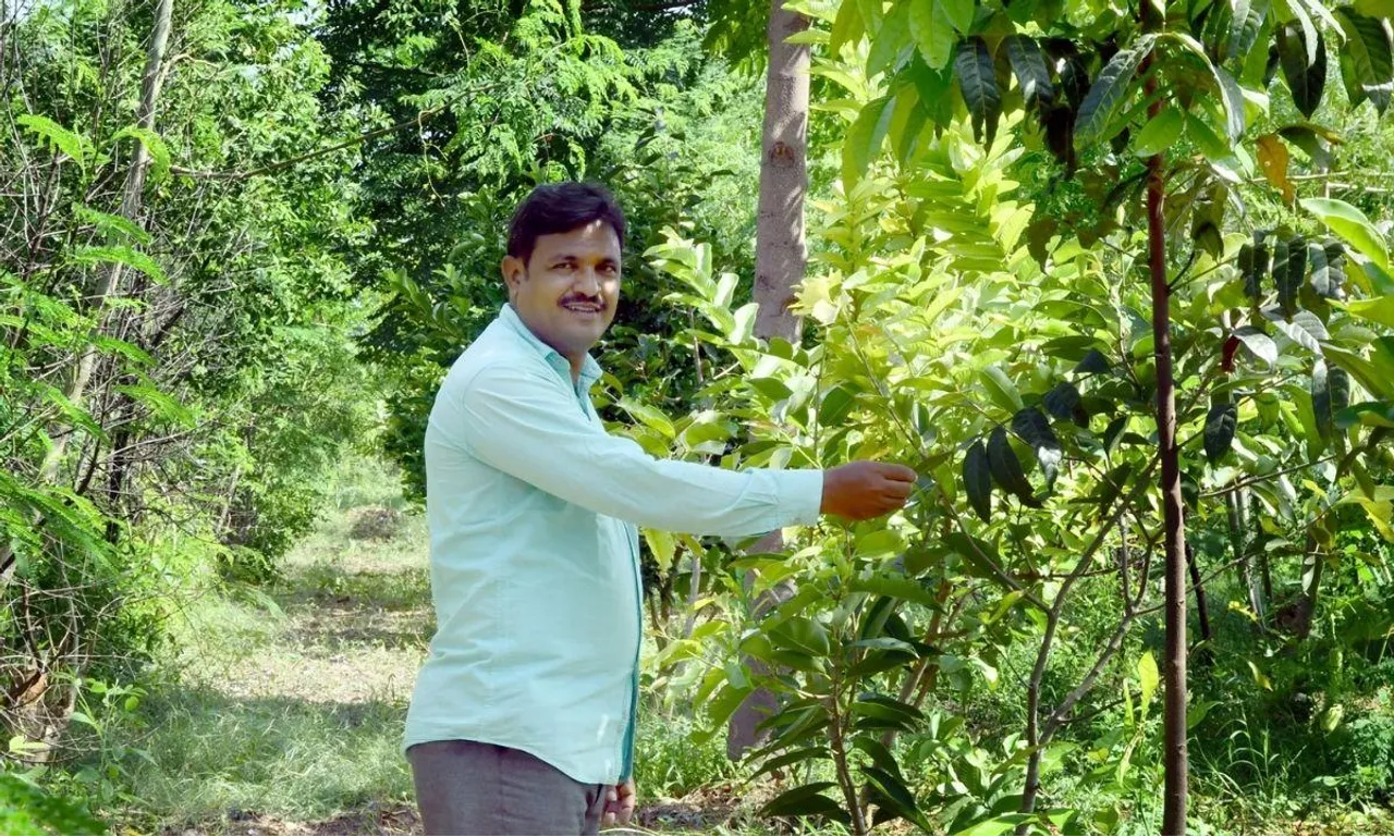 जानिए कैसे एक किसान ने 3 एकड़ बंज़र ज़मीन को बना दिया चंदन, महोगनी और फलों का बागान