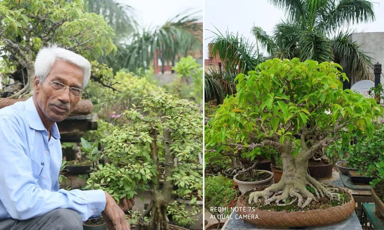 कैसे बनायें अपना 'बोनसाई गार्डन', अपनी छत पर 550 बोनसाई पेड़ लगाने वाले मंगत सिंह से सीखिए