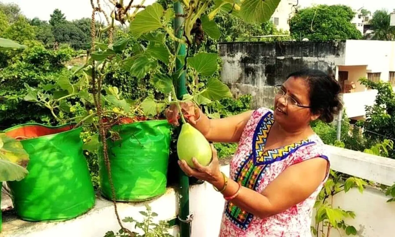 Zero Budget Gardening