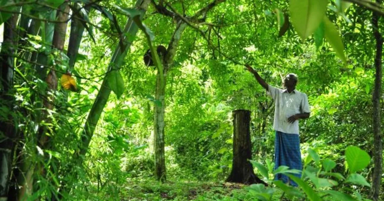 घर की डेढ़ एकड़ बंजर ज़मीन पर उगाया जंगल, 30 वर्षों में लगाए 1000+ पेड़-पौधे
