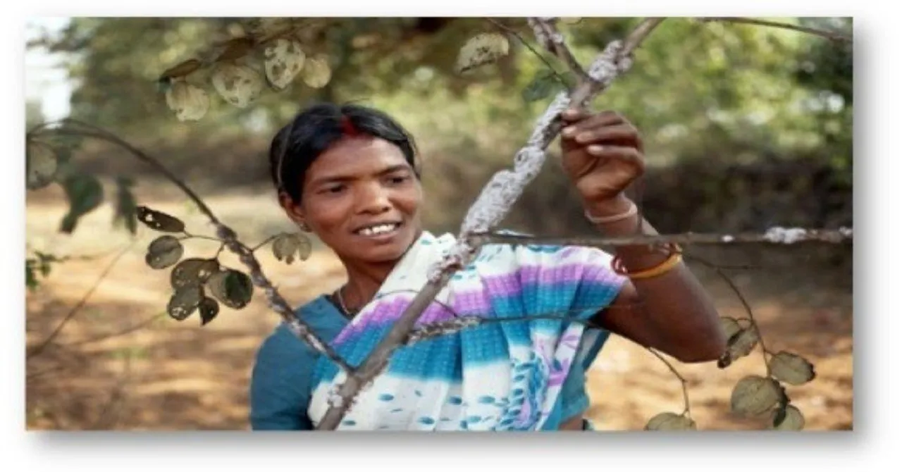 Women Lac farmers