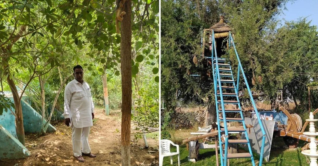 खेजड़ी पर 'ट्रीहाउस' और 2000 पेड़, थीम पार्क से कम नहीं इस रिटायर्ड फौजी का खेत