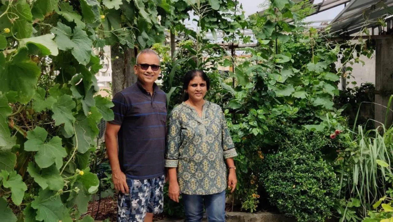 terrace vegetable garden