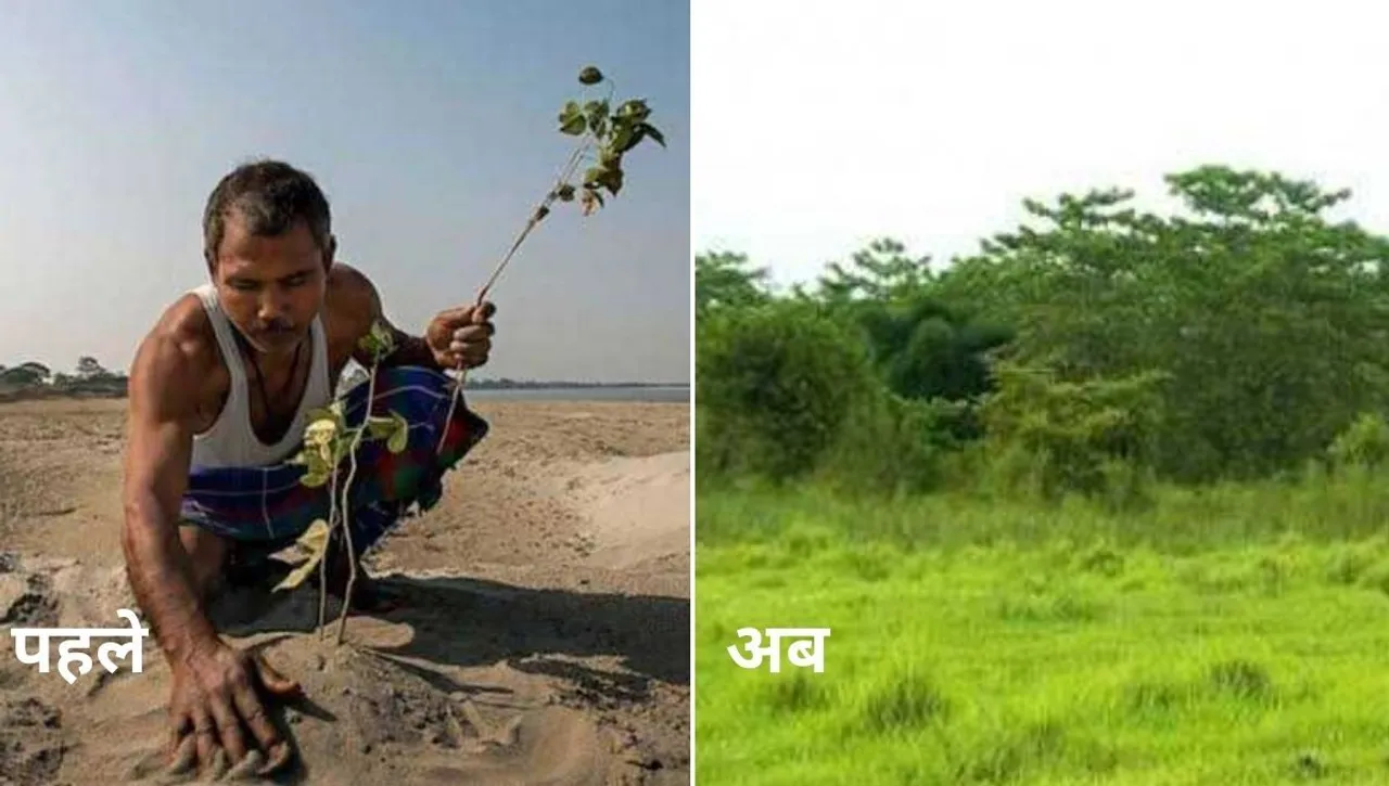 Jadav Payenge, Forest Man of India