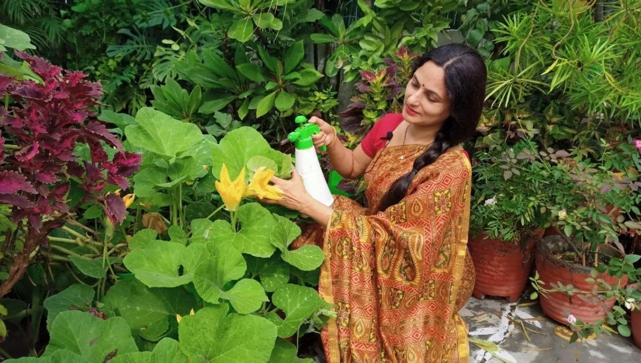Basic tools & tips to start gardening