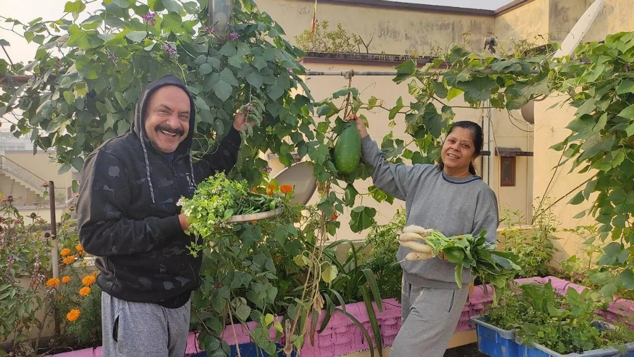 Anil Paul From Patna Is Gardening on The Society Rooftop
