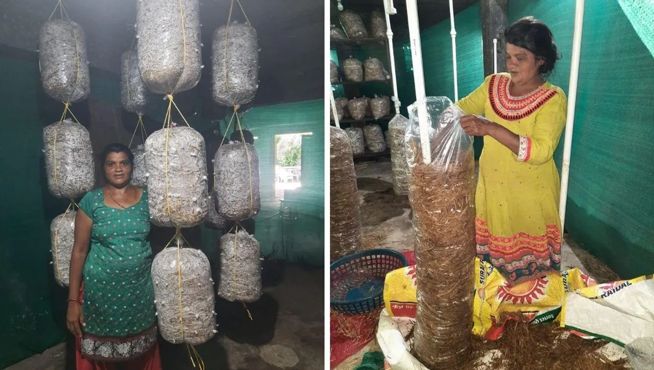 Gujarat Woman Farmer, pushpa patel grows mushroom