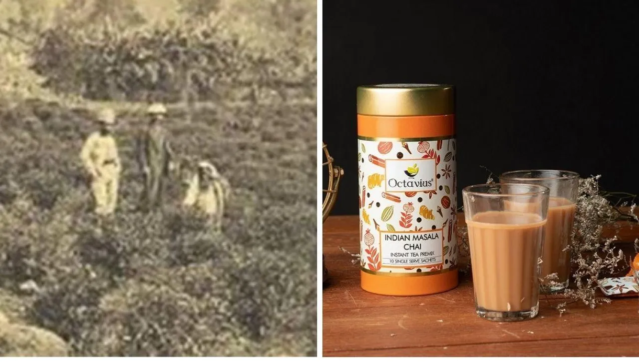 Octavius Tea