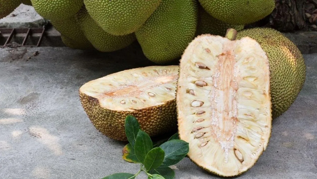 health benefits of Jackfruit, Diabetes, heart disease