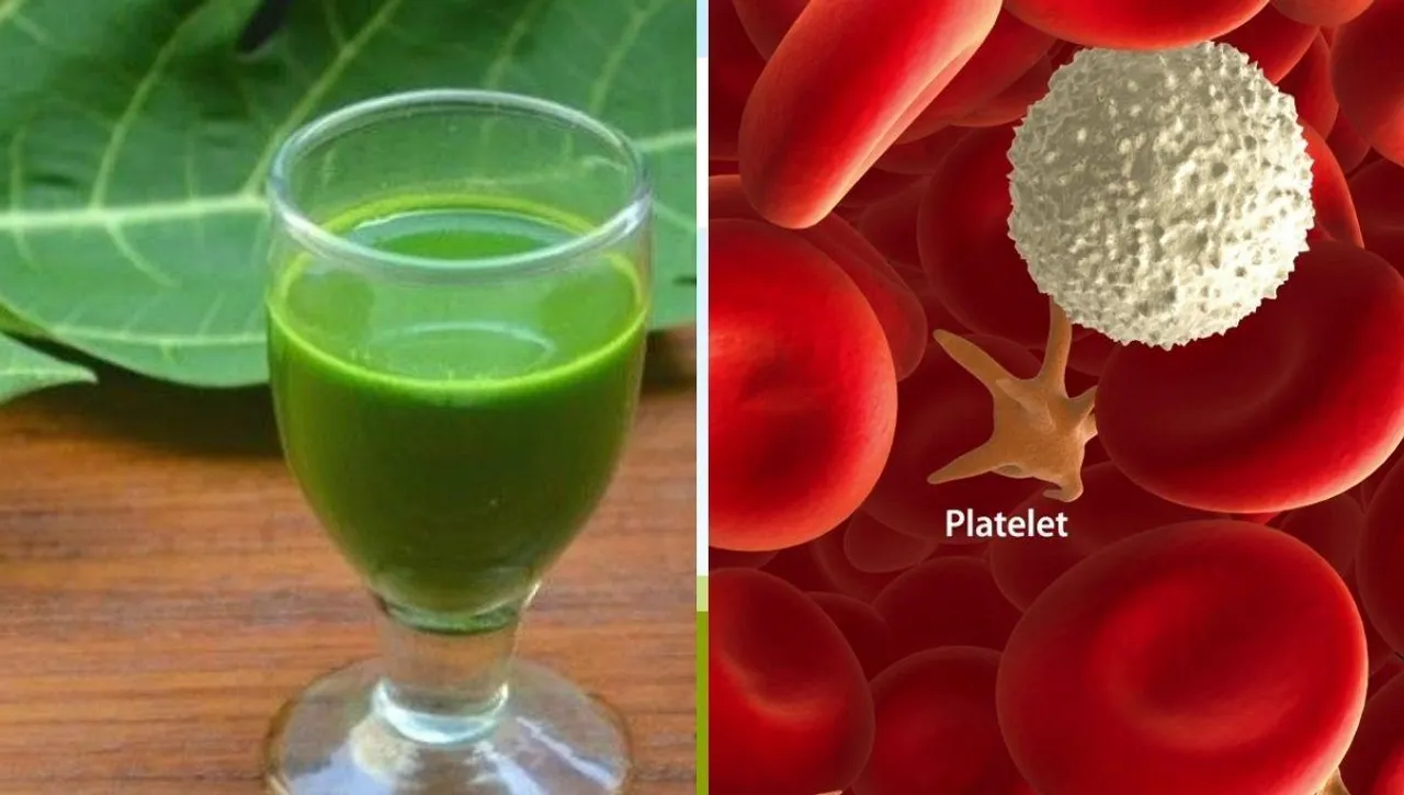 Increase Platelet Count Naturally