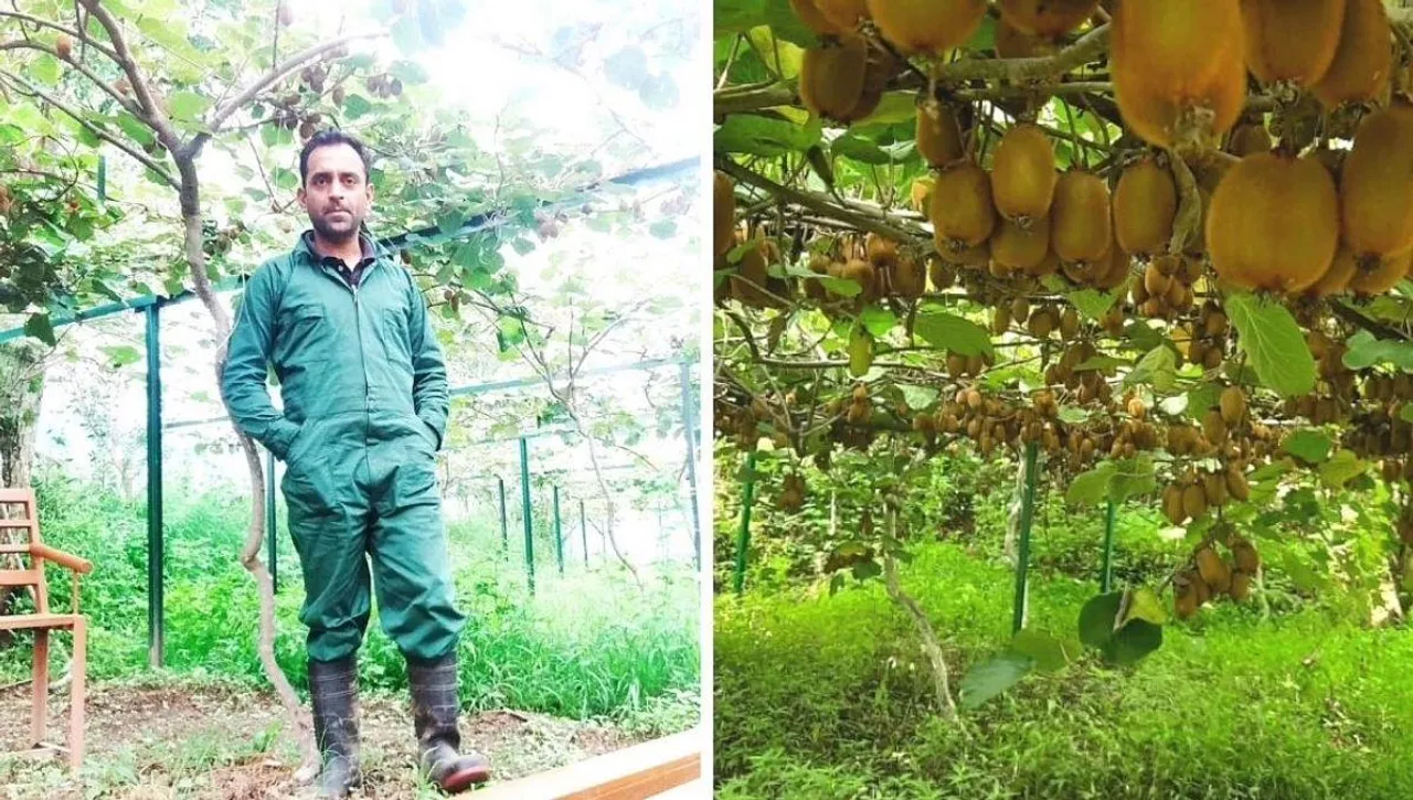 Mandeep Verma owner of Swastik farm, Kiwi farming in India