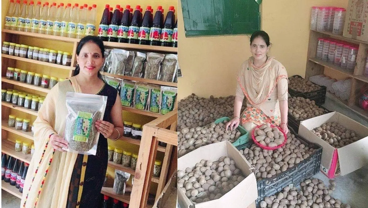 Apple zone, business of Jam, pickle, chatani, squash,