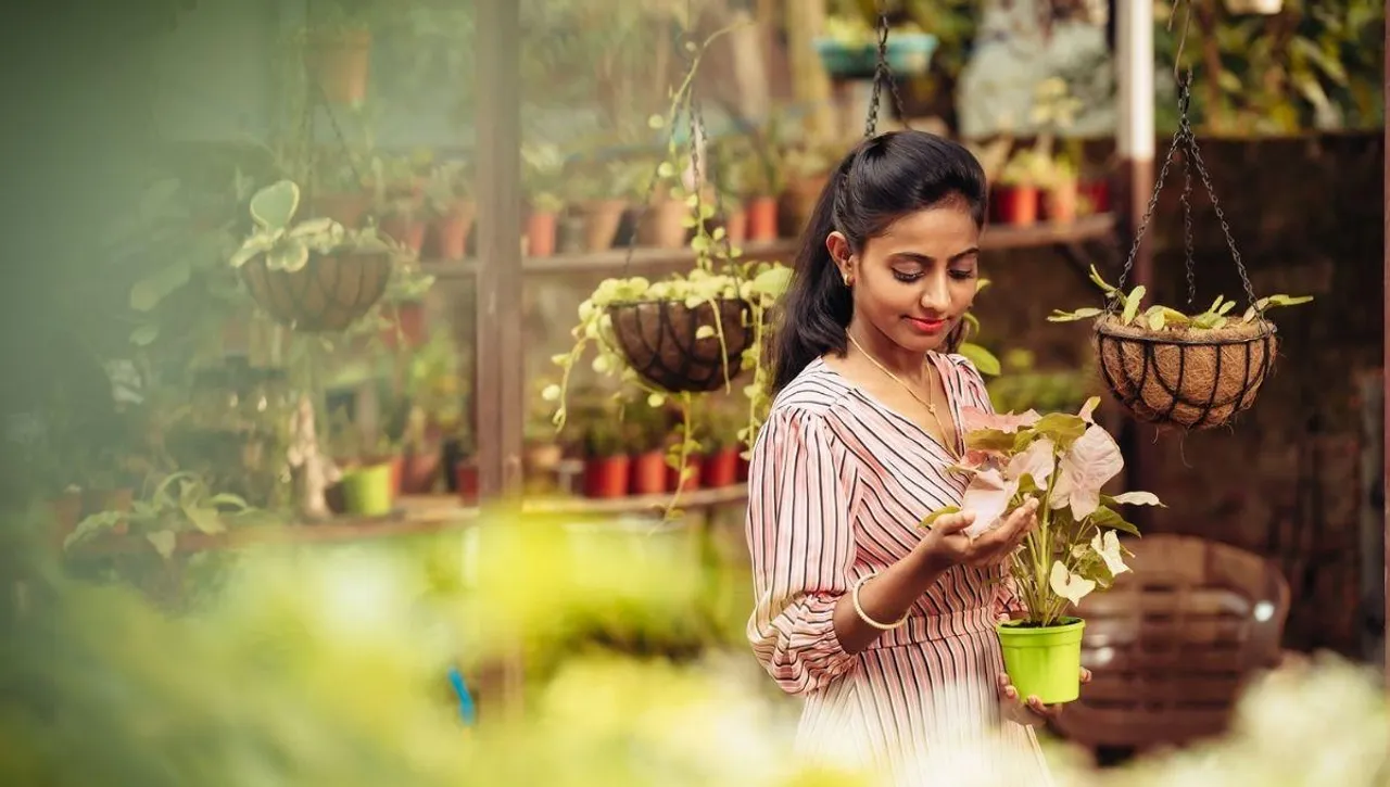 prakriti garden earning from youtube
