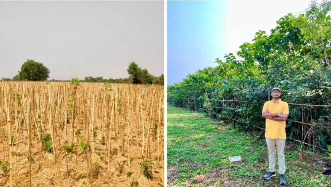 Miyawaki Forest IAS Abhijit Bangar Turned Dumpyard Into Forest, Planted 60,000 Trees