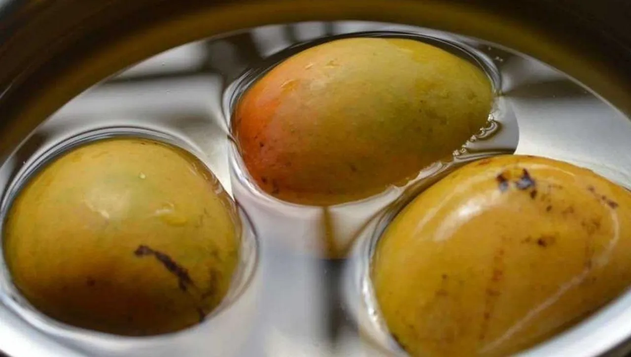 Science behind Soaking Mango in water before eating
