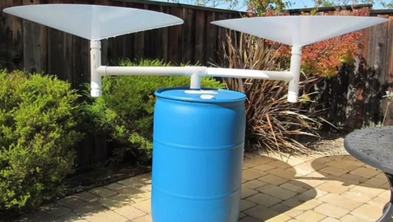 DIY Rain Water Harvesting Techniques