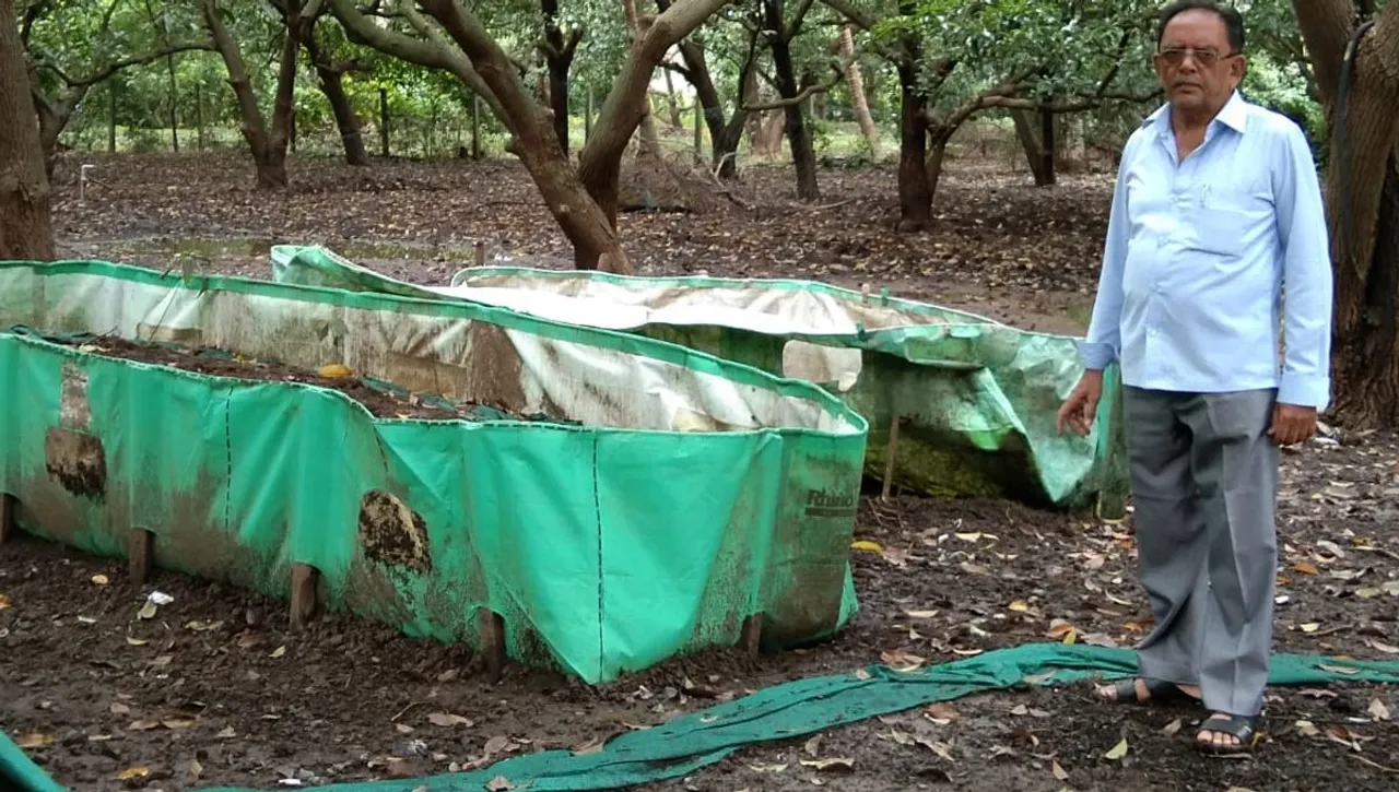 Vermicompost Busines (3)