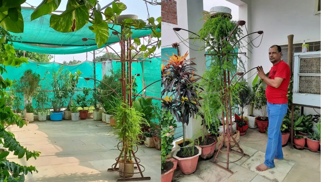 mukesh kale gardening