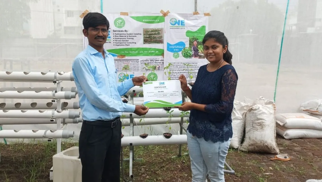 hydroponic farming