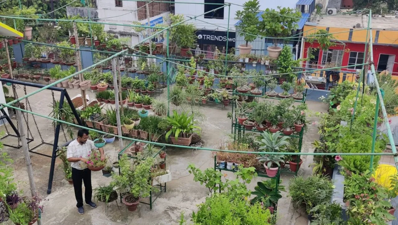 manoranjan sahay patna gardening