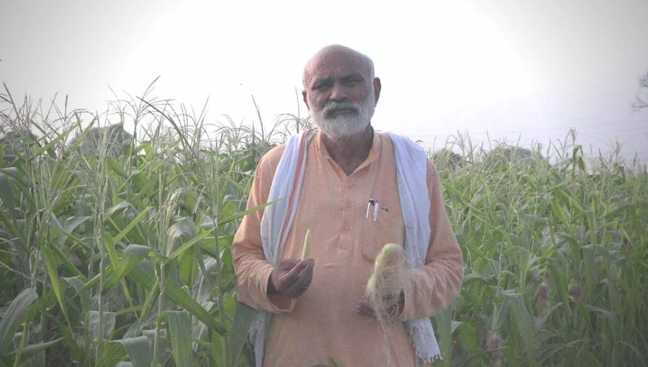 कम लागत में ज़्यादा मुनाफ़ा, बेबी कॉर्न उगाकर देश भर के किसानों के लिए मिसाल बने कंवल सिंह