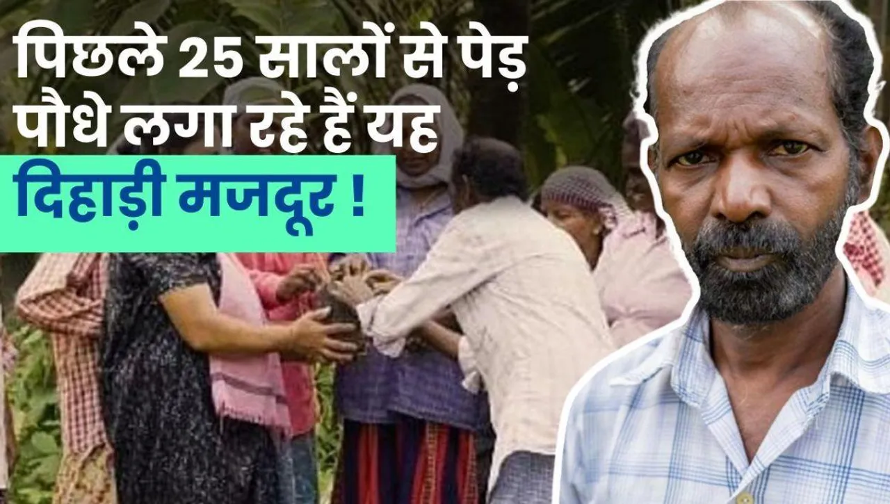 Daily wager C C Kannan planted hundreds of saplings