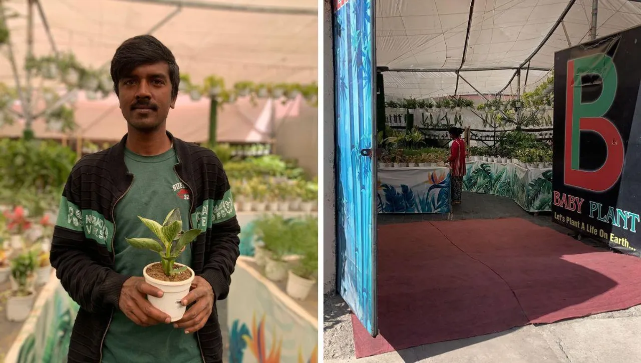plant mall (1)