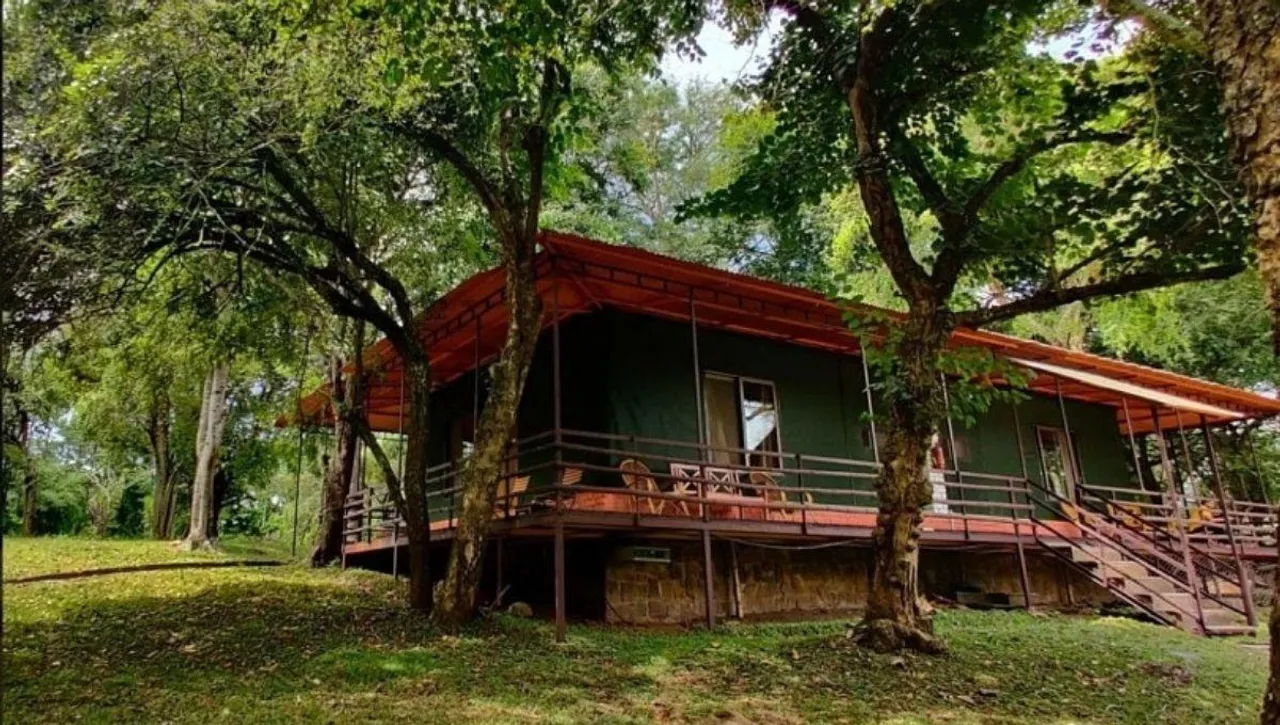 Jungle Hut FI